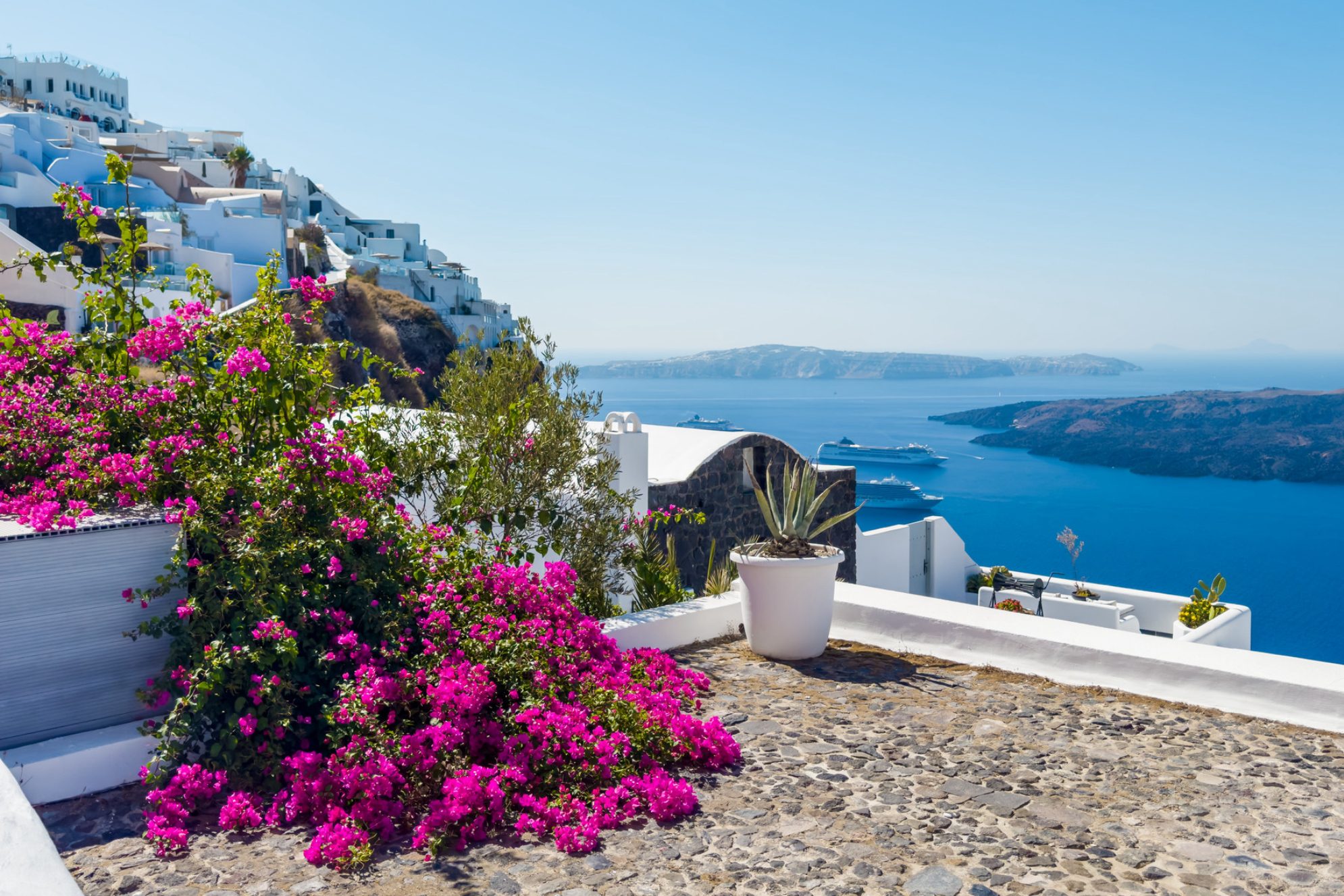 Терраса с цветущими цветами и видом на море на острове Санторини, Греция. Источник: Shutterstock