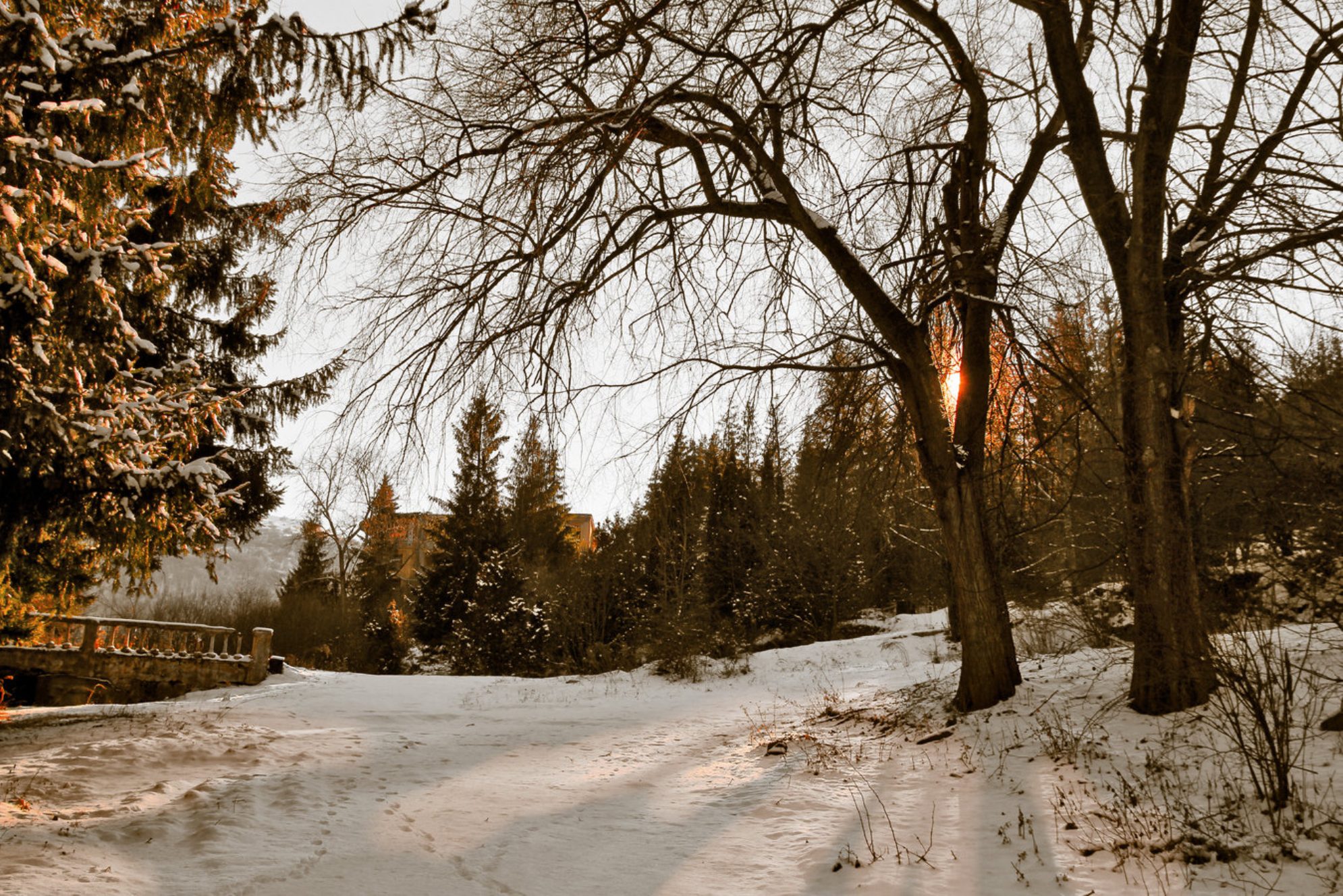 Зимний закат, Россия. Shutterstock