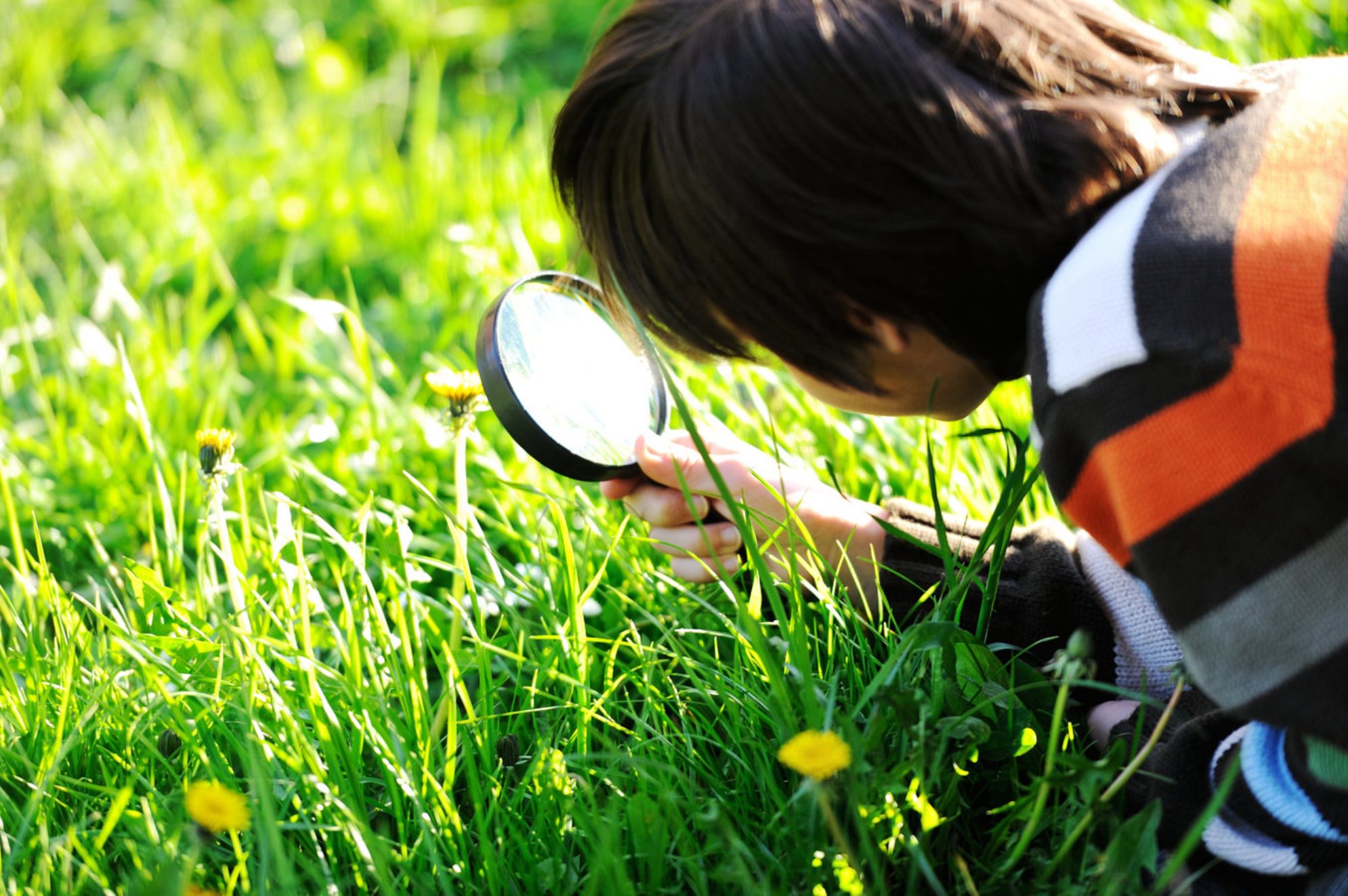 Олимпиада «Музеи. Парки. Усадьбы» 2025-2026 это удобный способ превратить выходные в умные и познавательные прогулки. www.shutterstock.com