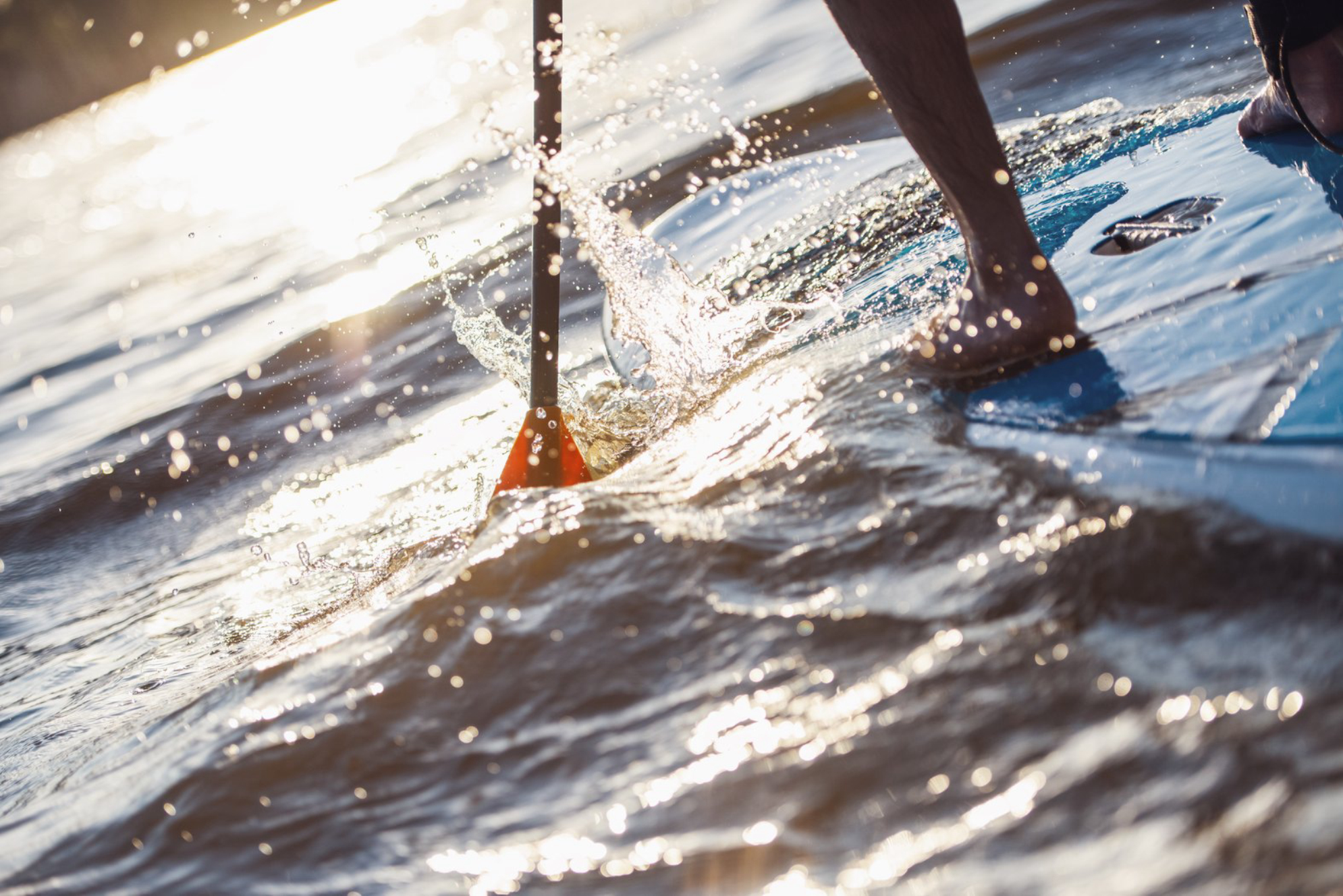 Регистрация на фестиваль открывается 1 июня на официальном сайтеИсточник фото: elements.envato.com