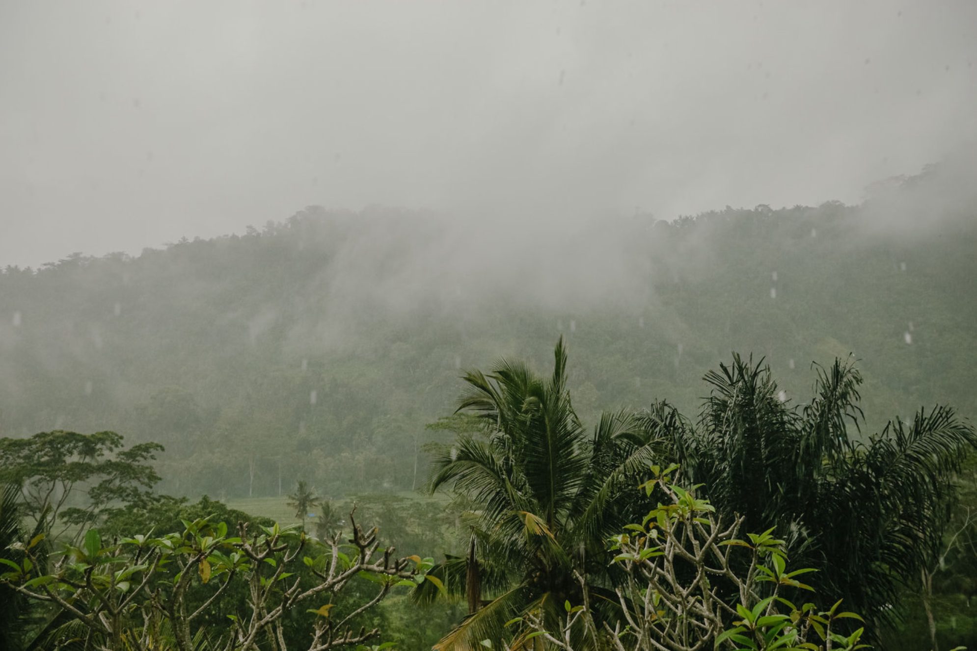 Решение о поездке на Бали зависит от вашей готовности к некоторым рискам и особенностям сезона. shutterstock.com