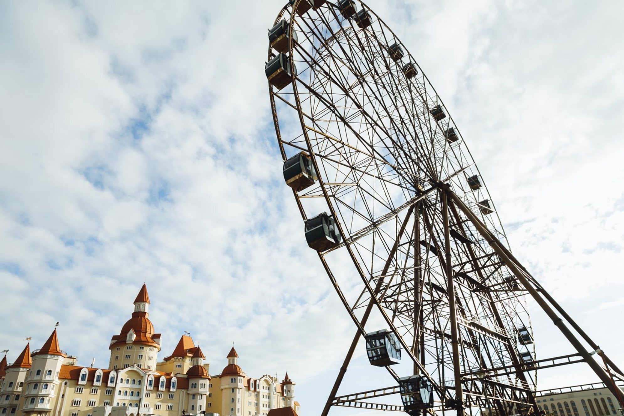 Вид на колесо обозрения в «Сочи Парке».