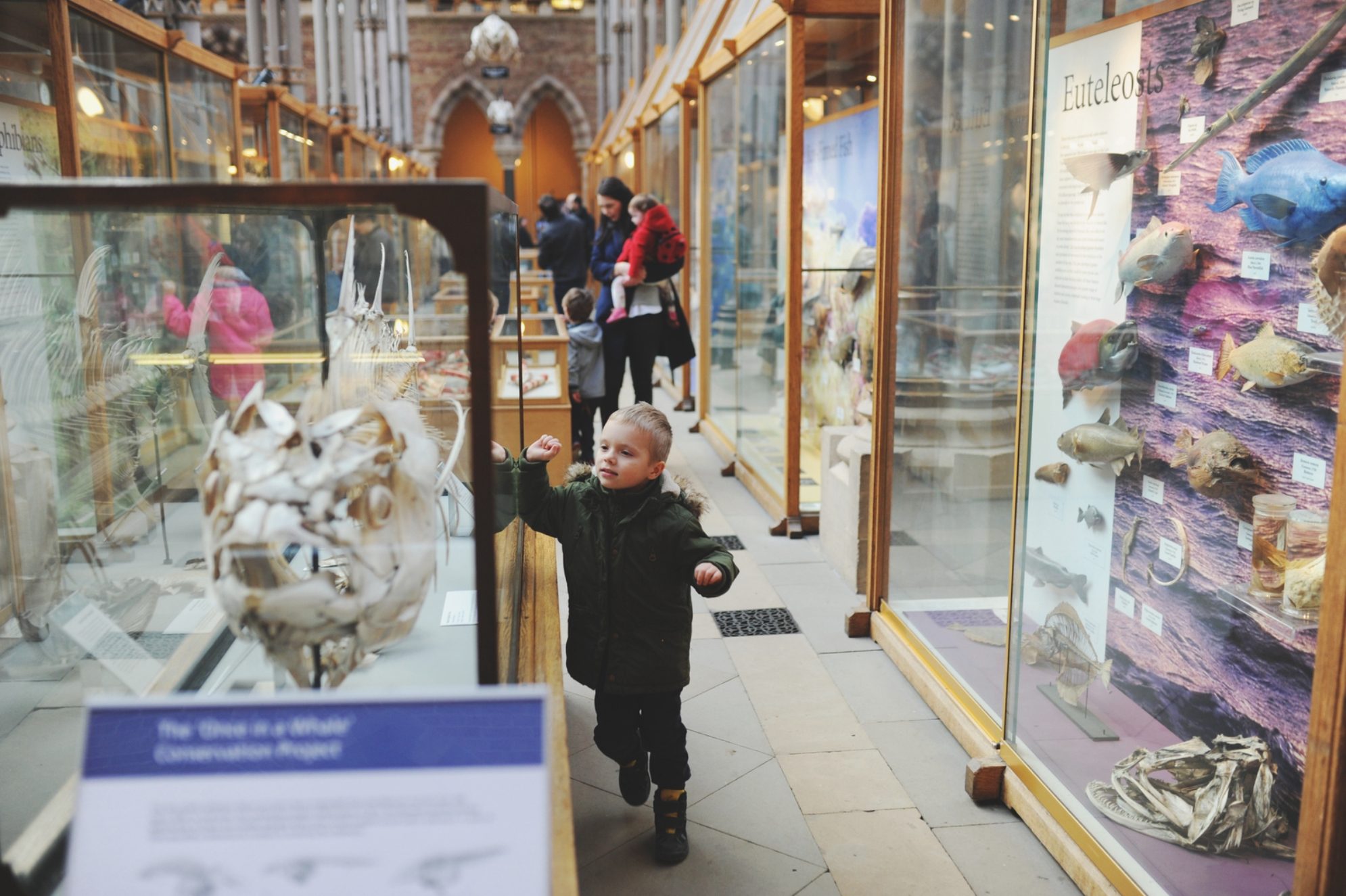 Музеи и выставки.