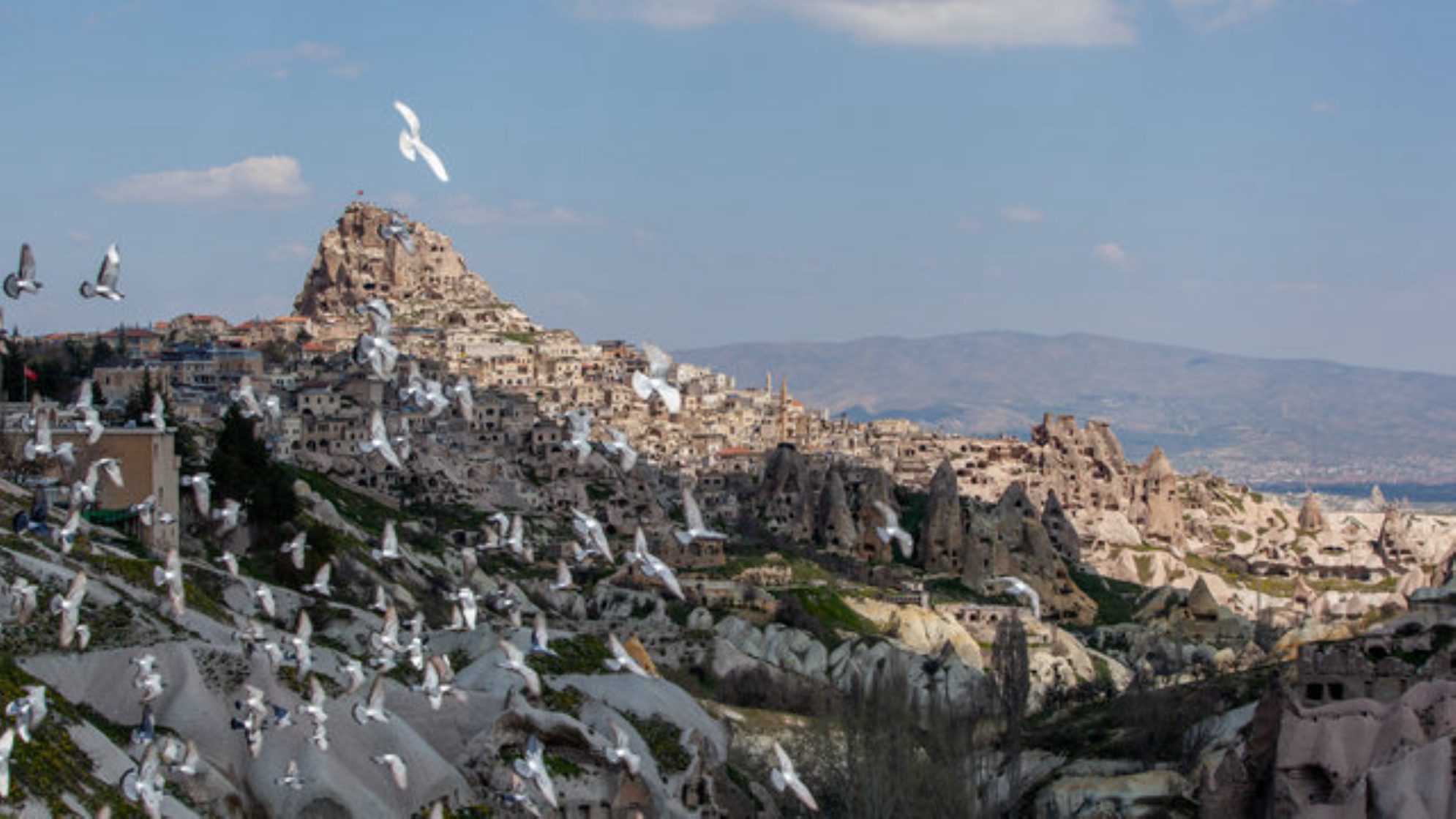 Если бы у голубей было свое государство, оно располагалось бы здесь. Источник: shutterstock.com