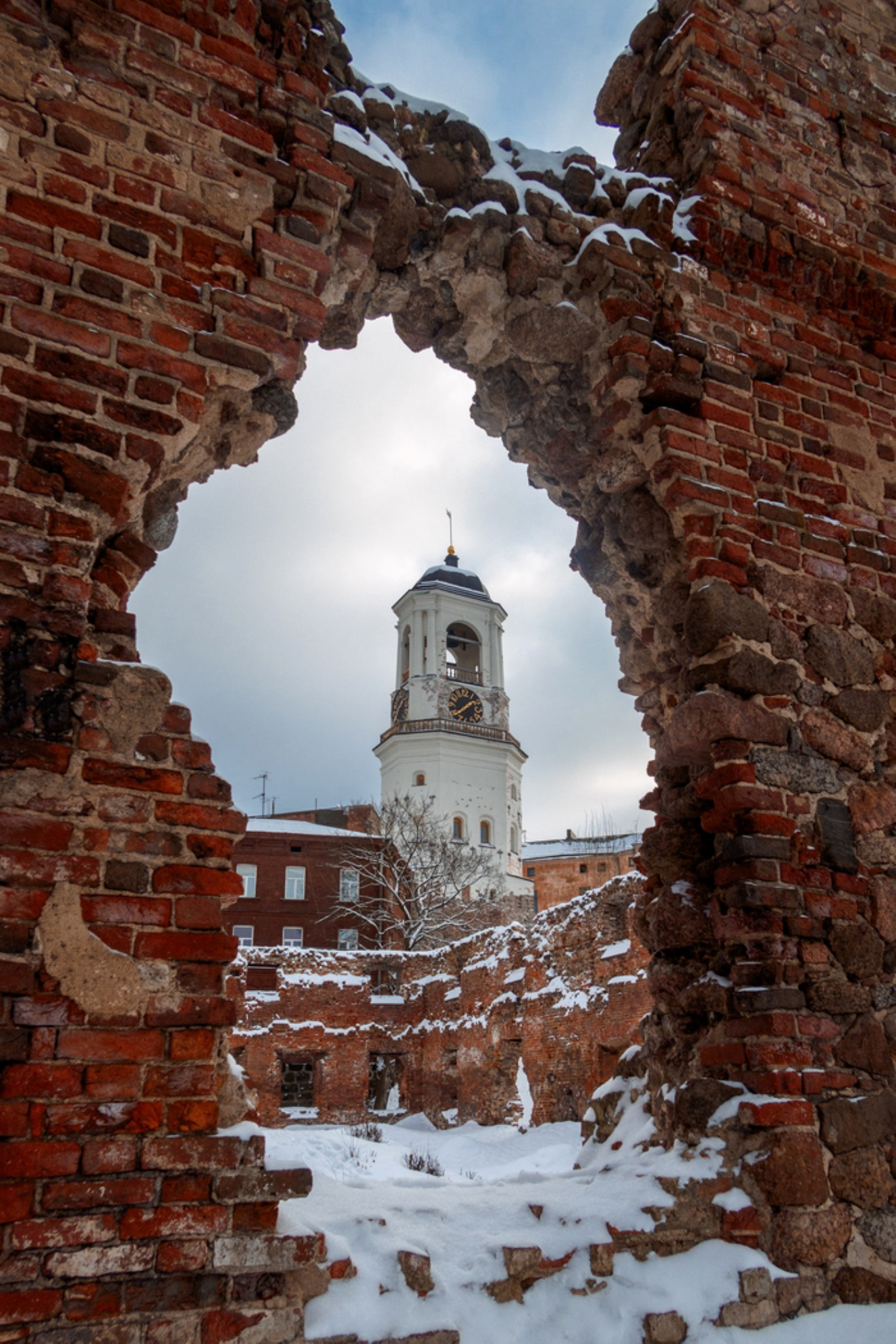 Куда поехать в Ленинградской области зимой: Идеи для отдыха и путешествий