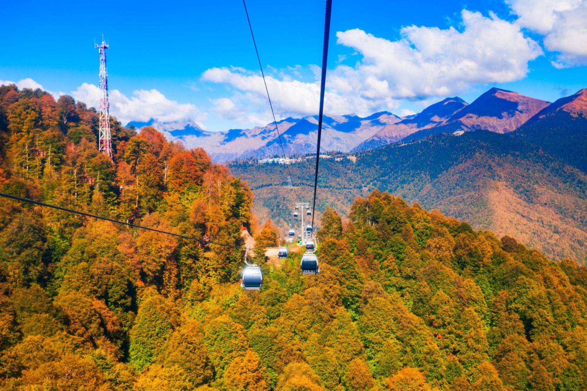 Золотая осень в Сочи. shutterstock.com