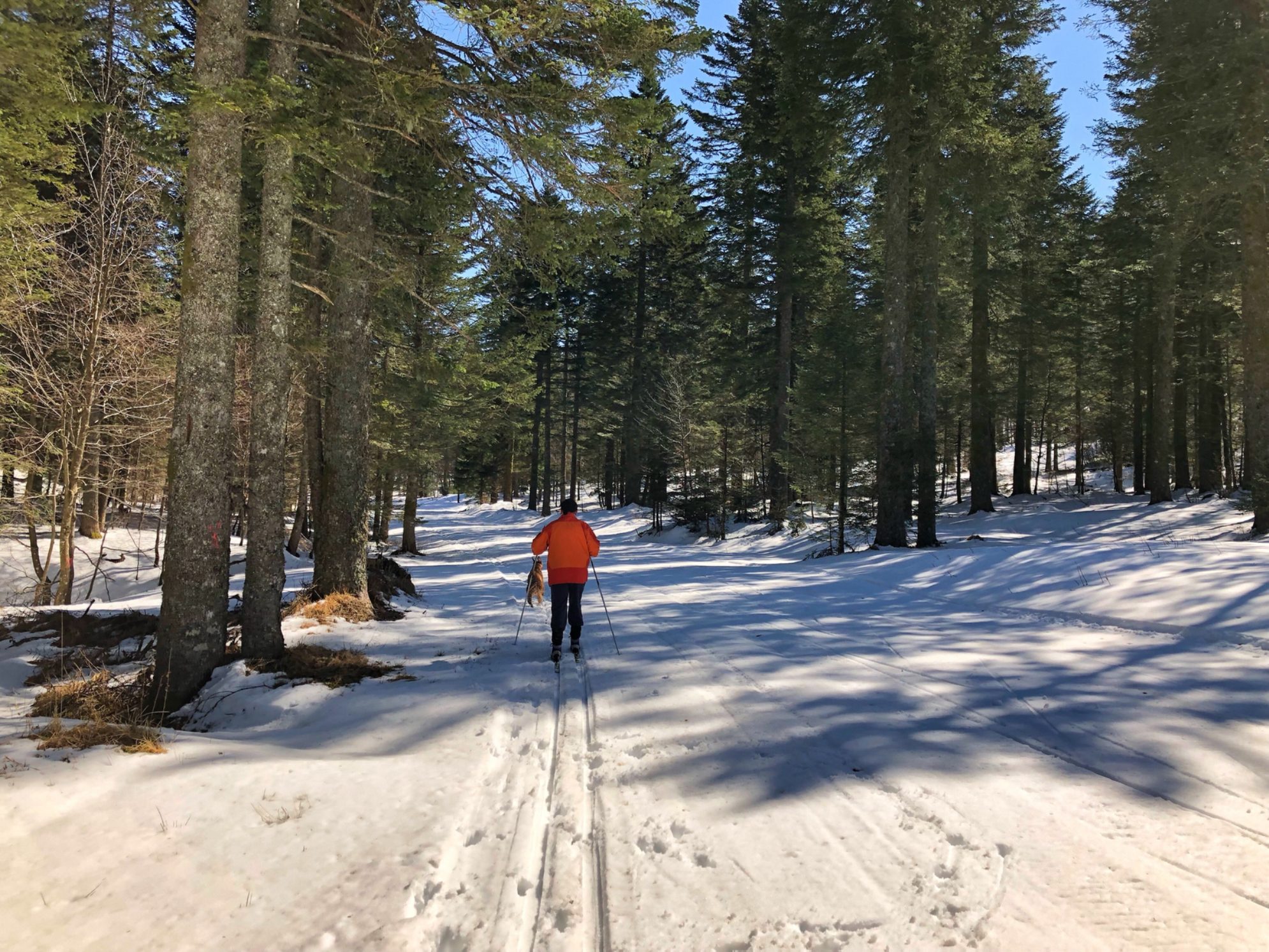 Активный отдых.