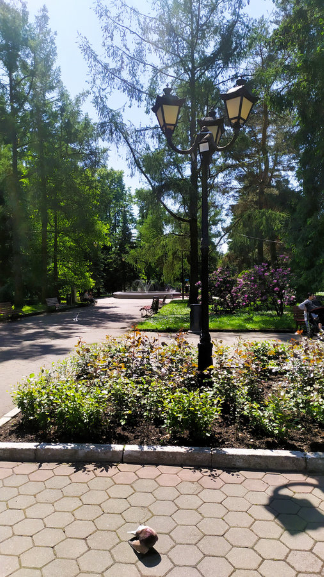 Территория парка позволяет устроить пикник на природе, Калининград. Автор фото: Любовь Федорова