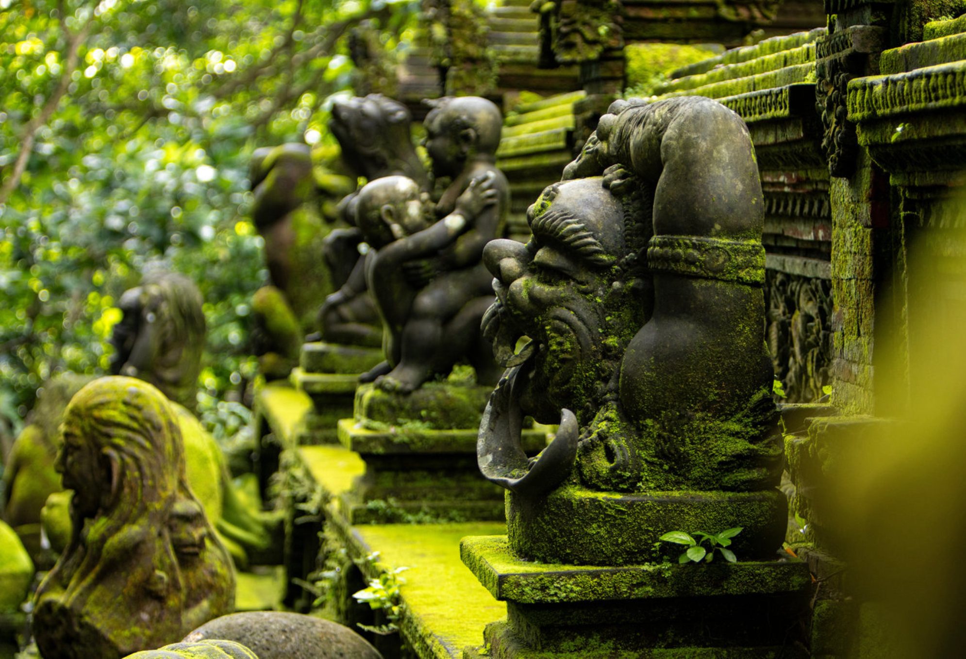 В лесу Обезьян вам будут попадаться различные скульптуры. Shutterstock