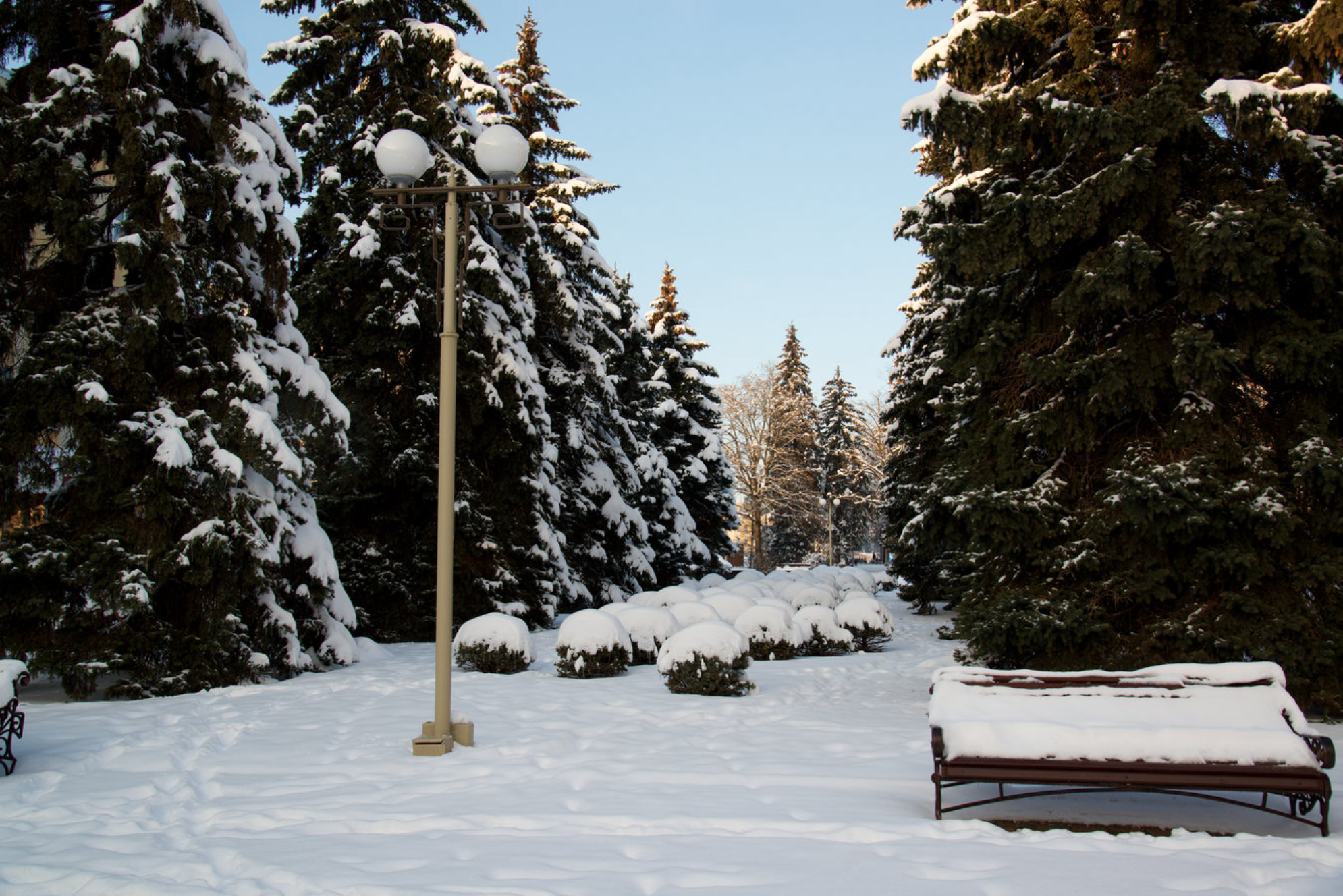 Зимний пейзаж со скамейкой, покрытой снегом, среди покрытых инеем деревьев и уличных фонарей. Улицы Ставрополя, Кавказ, Россия. Источник: Shutterstock