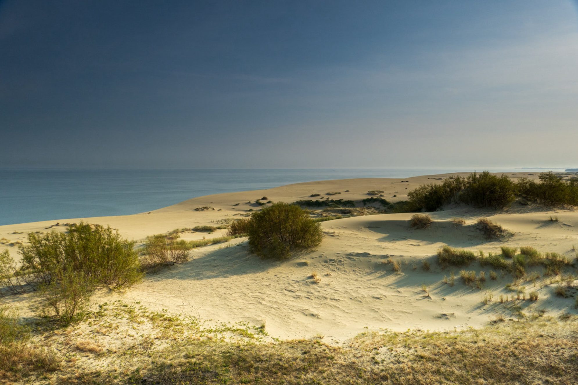 На Куршской косе существуют невидимые "песчаные реки", постоянно меняющие ландшафт. Источник: Shutterstock.