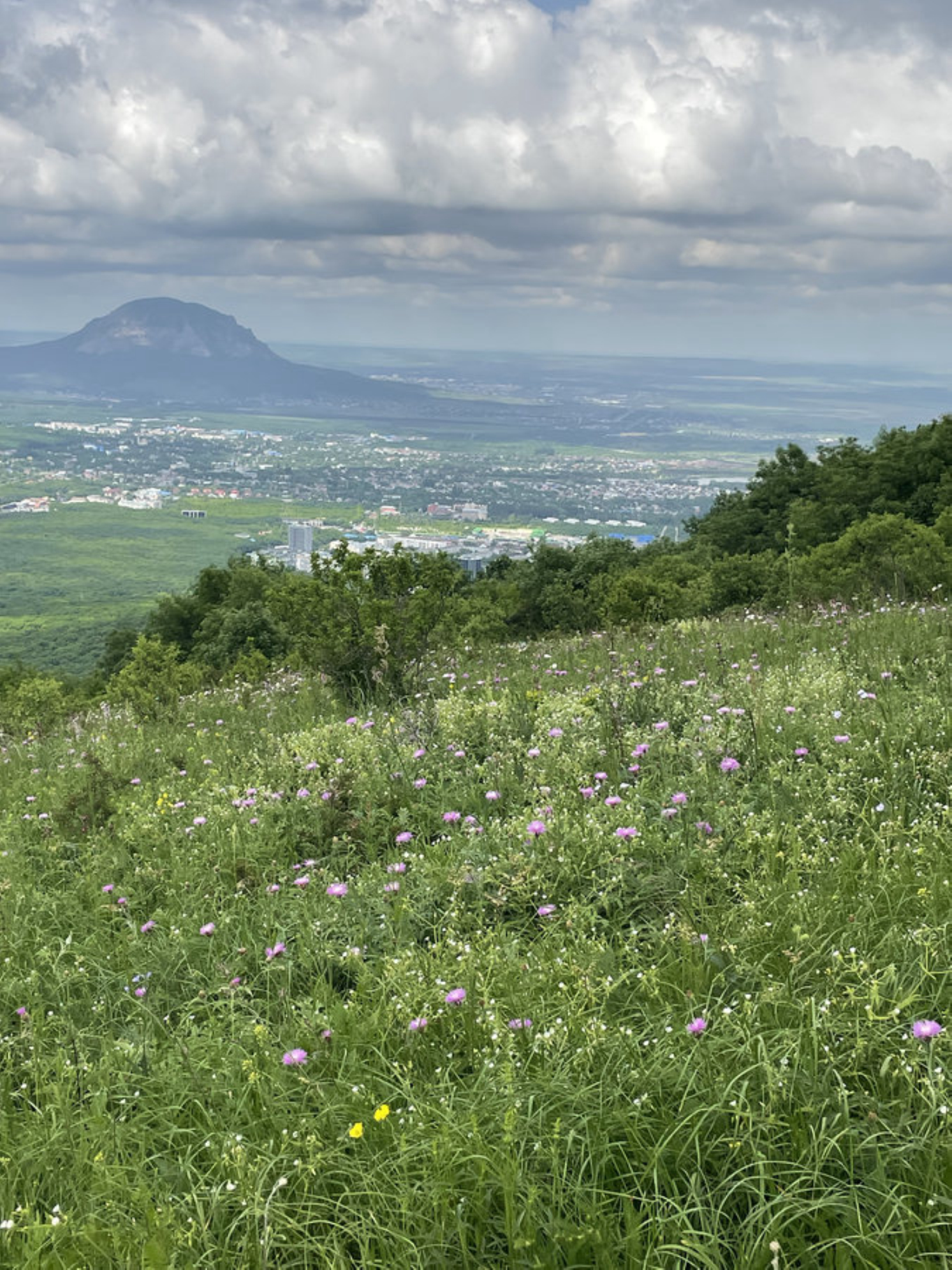 Волшебная природа Пятигорска. Автор: Анастасия Рейзес