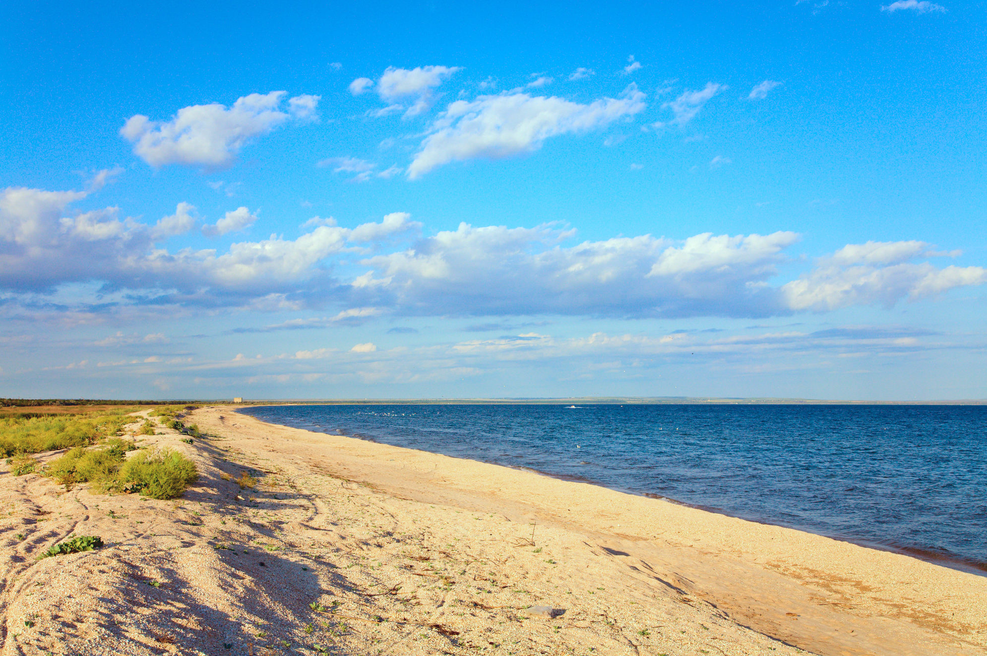 Песчаное побережье Азовского моря. Источник: Shutterstock