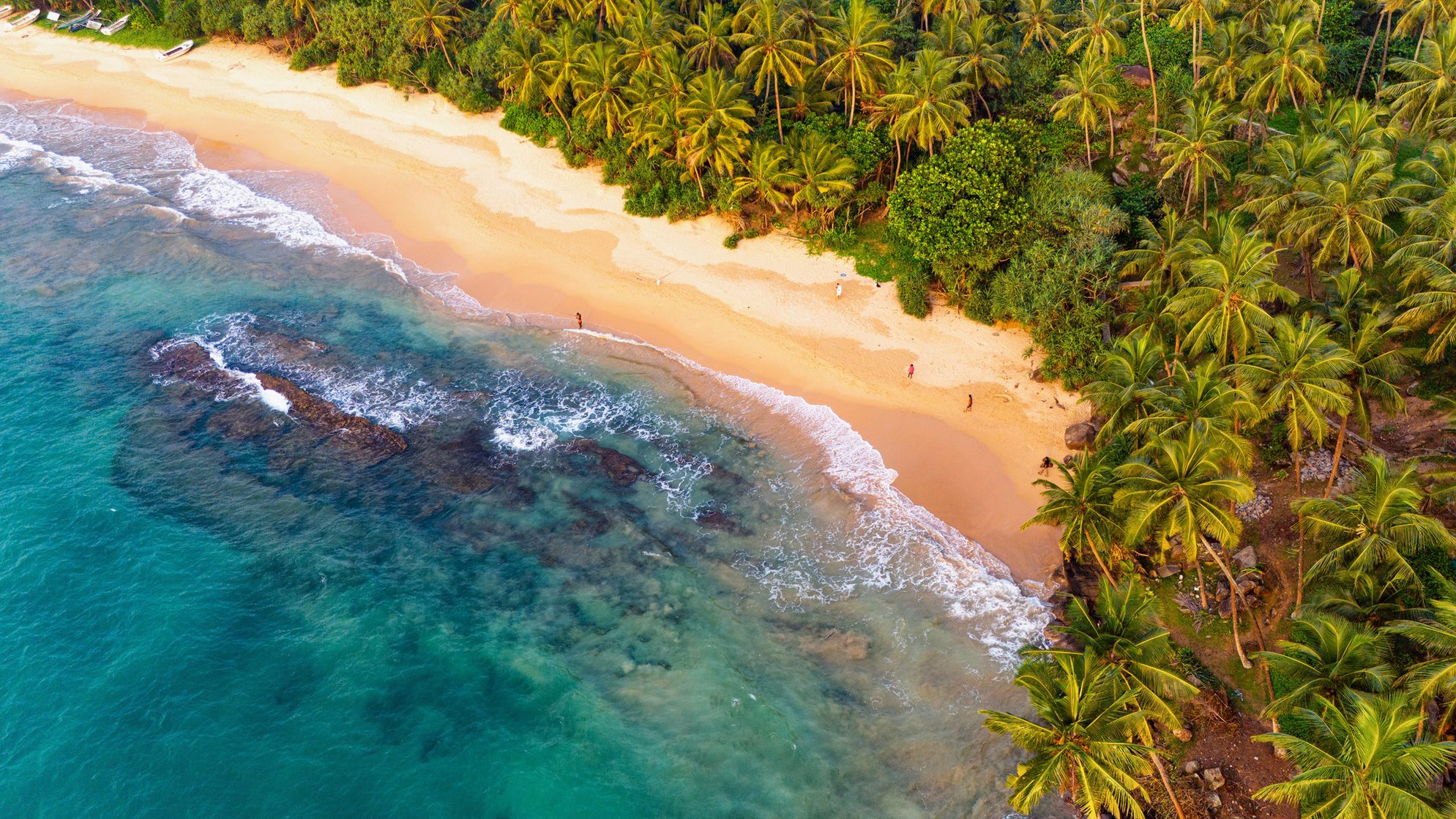 Пляжный пейзаж Шри-Ланки. Источник: Shutterstock