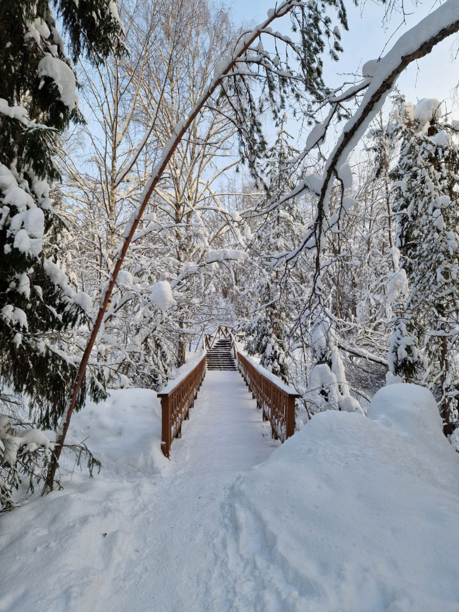 Прогулка по территории заповедника "Кивач", Республика Карелия.Автор фото: Анна Ворожун
