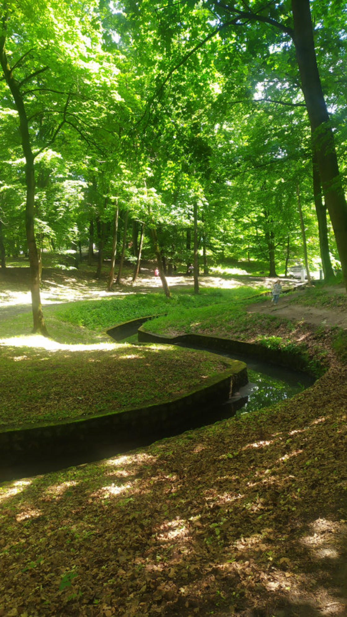 Прогулка по парку. Автор фото: Любовь Федорова