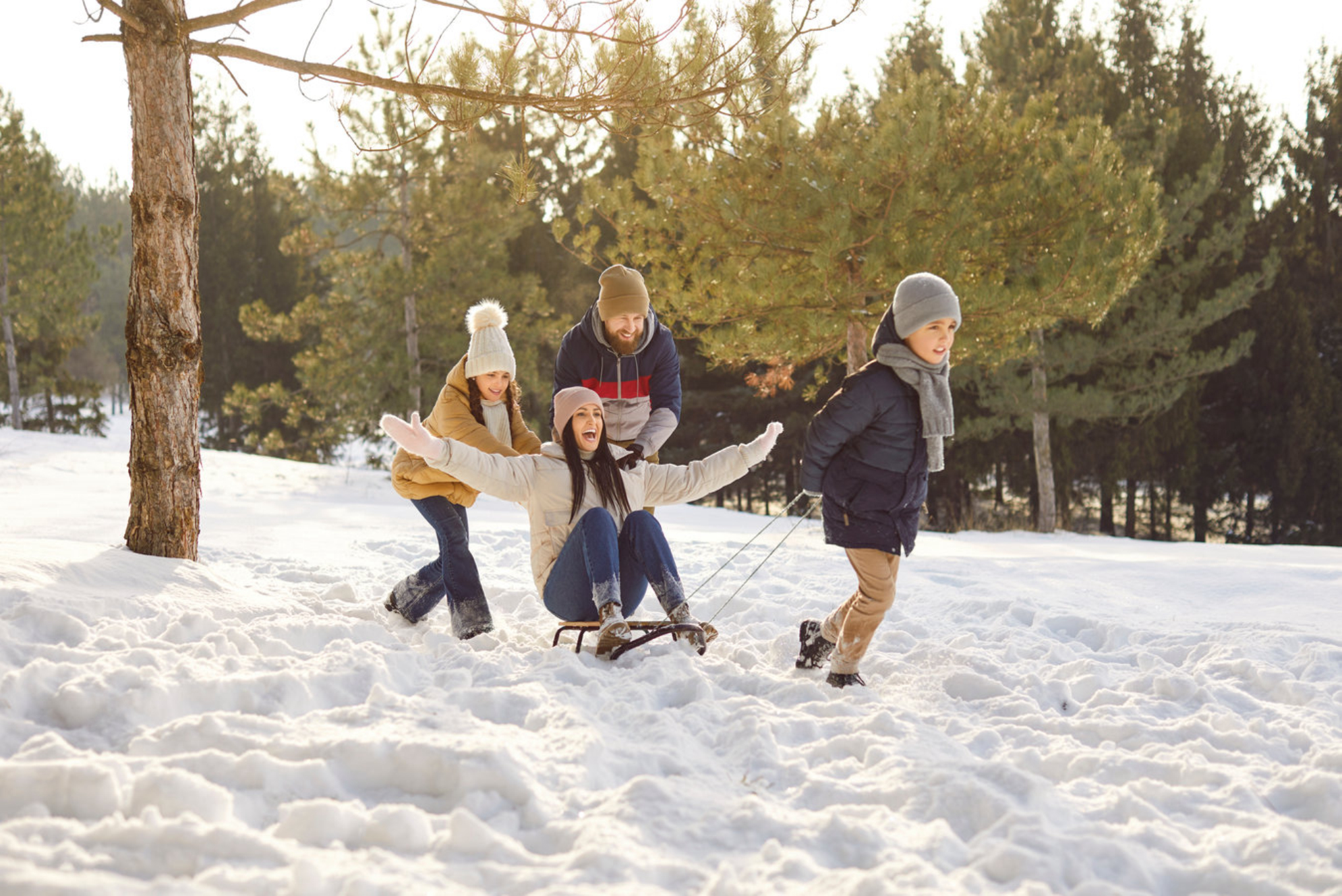 Семья катается на санках по зимнему лесу. Источник: Shutterstock