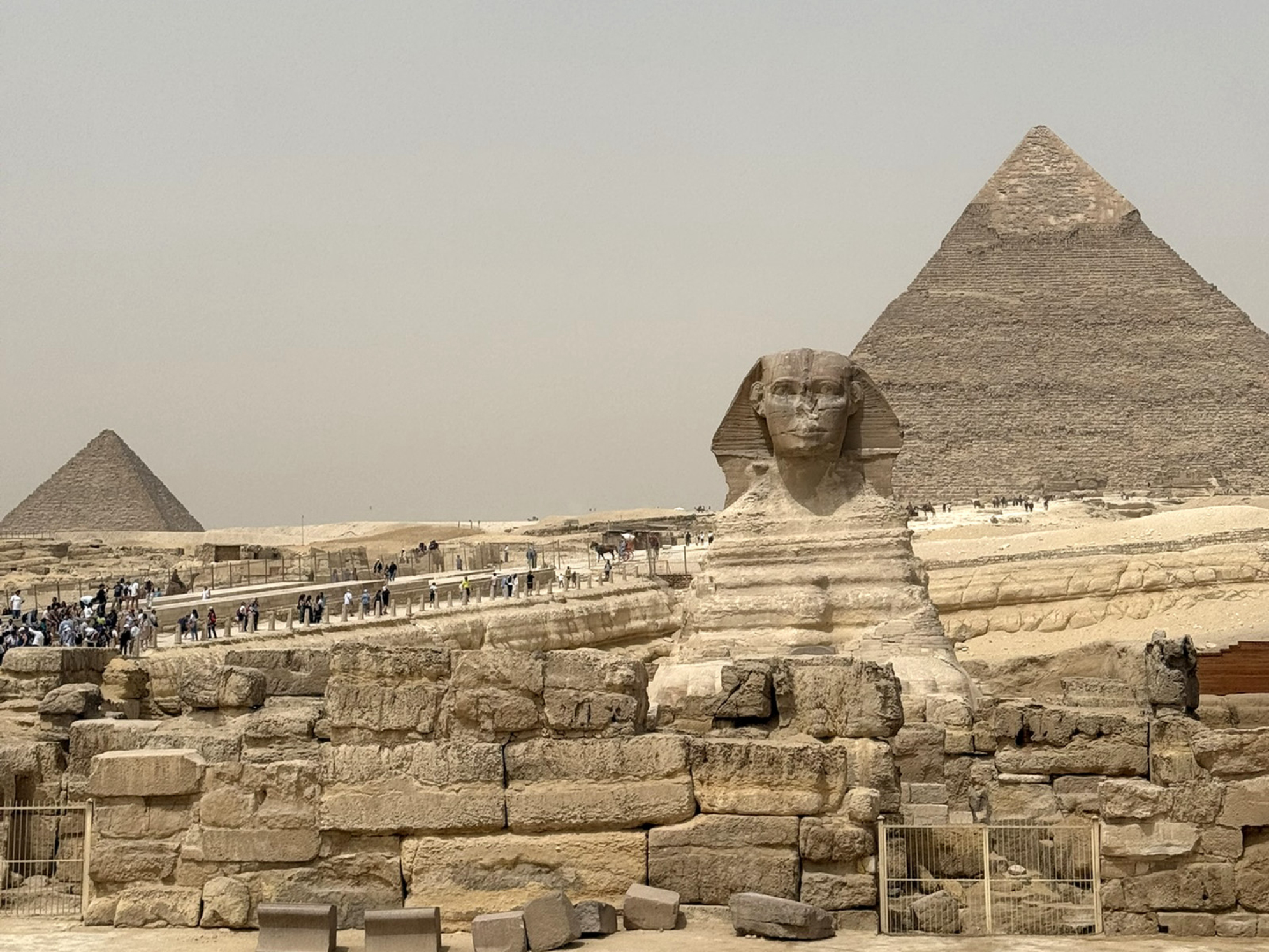 Те самые «образы»: пустыня, пирамиды, сфинкс, верблюды. Источник: личный архив