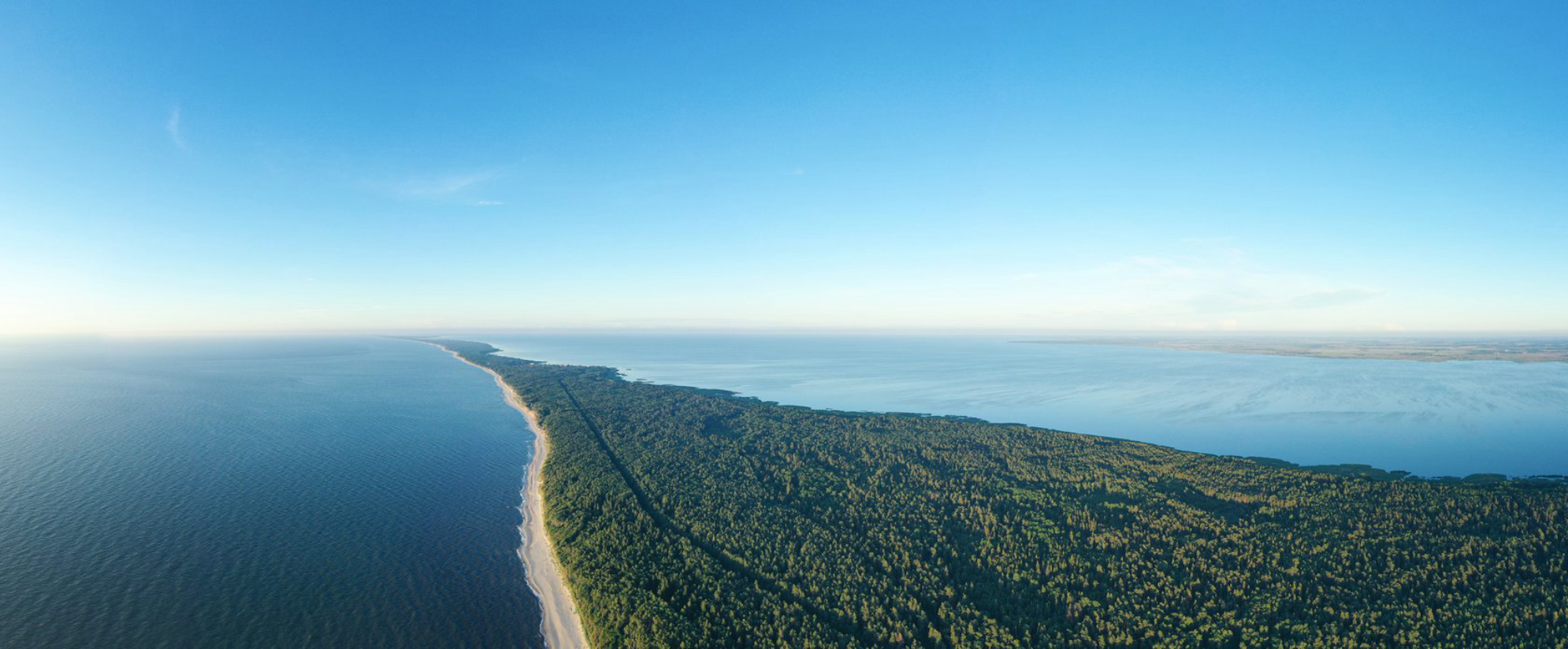 Куршская коса. Источник фото: shutterstock.com