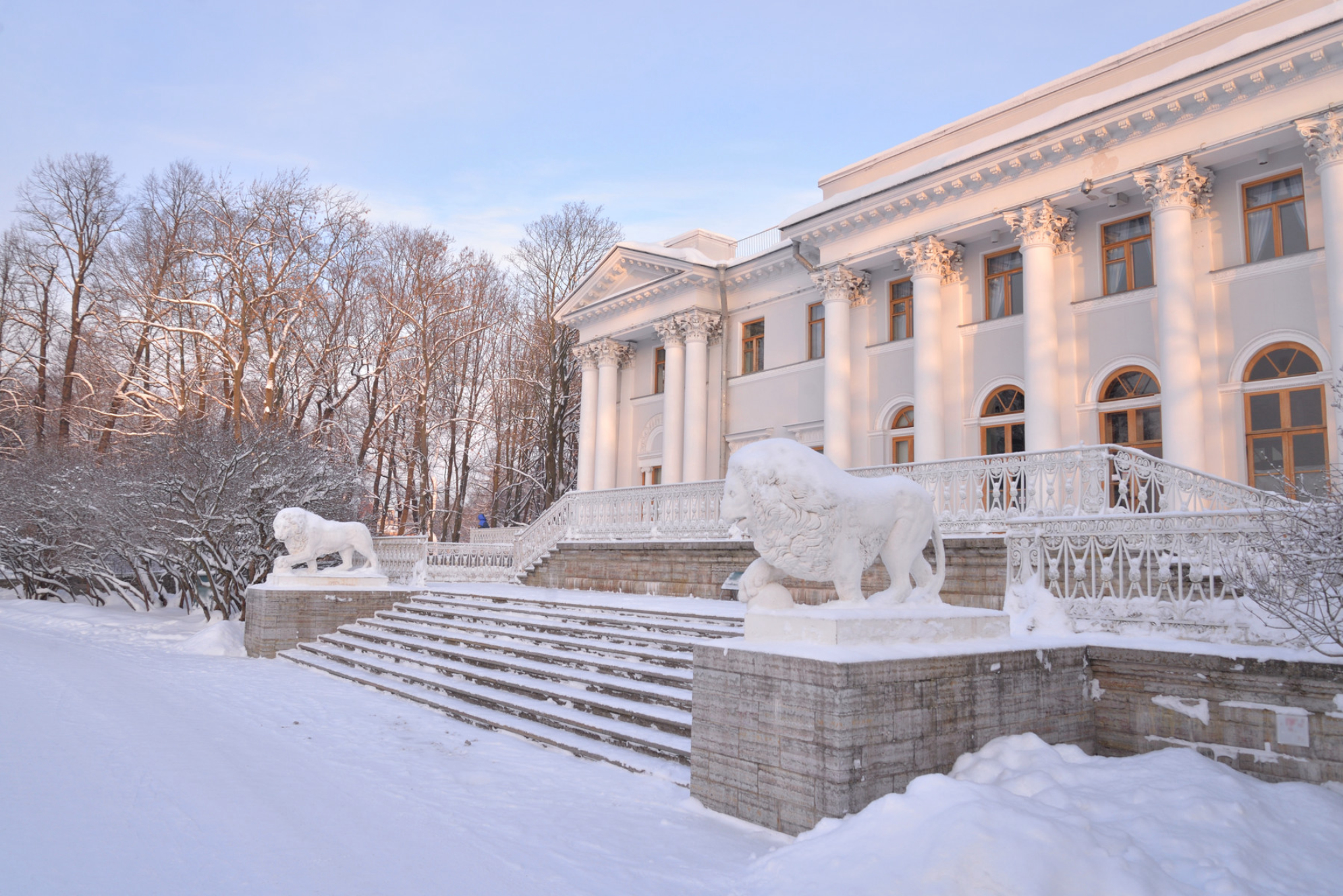Елагиноостровский дворец на Елагином острове в Санкт-Петербурге зимним вечером. Источник: Shutterstock