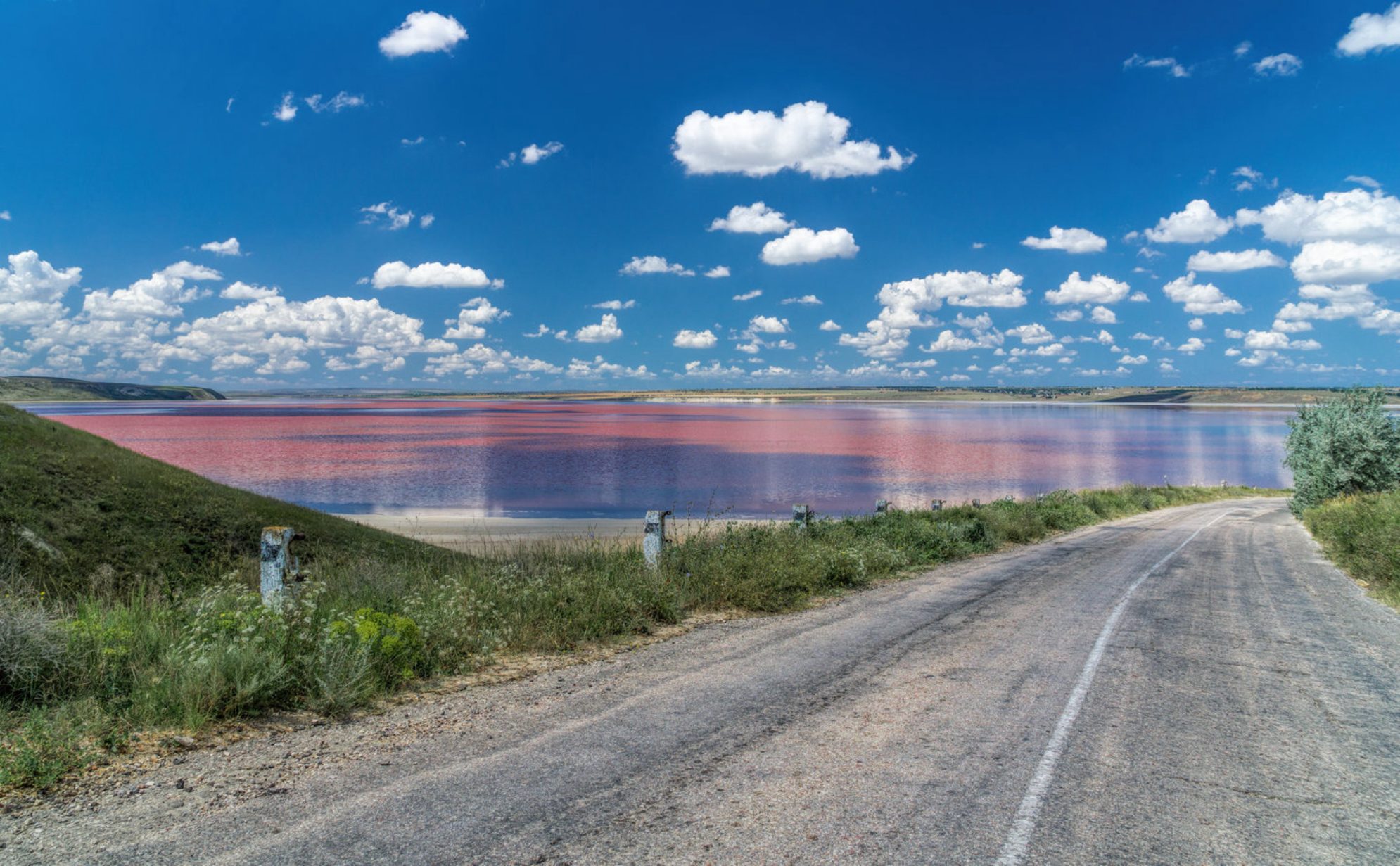Необычную розовую добавку когда-то доставляли ко двору российских императоров. Источник фото: Shutterstock