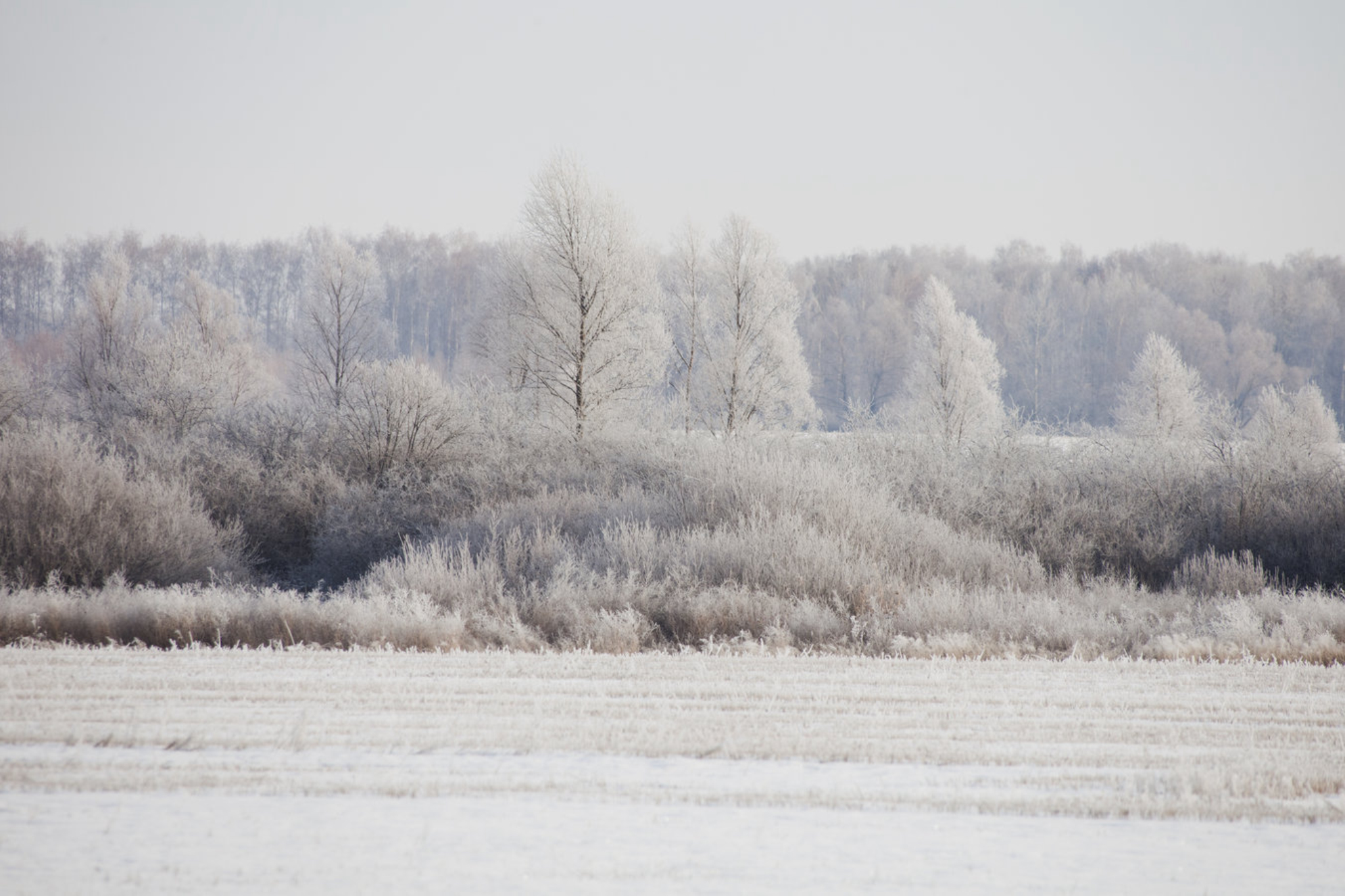 Зимний пейзаж. Республика Башкортостан, Россия. Shutterstock