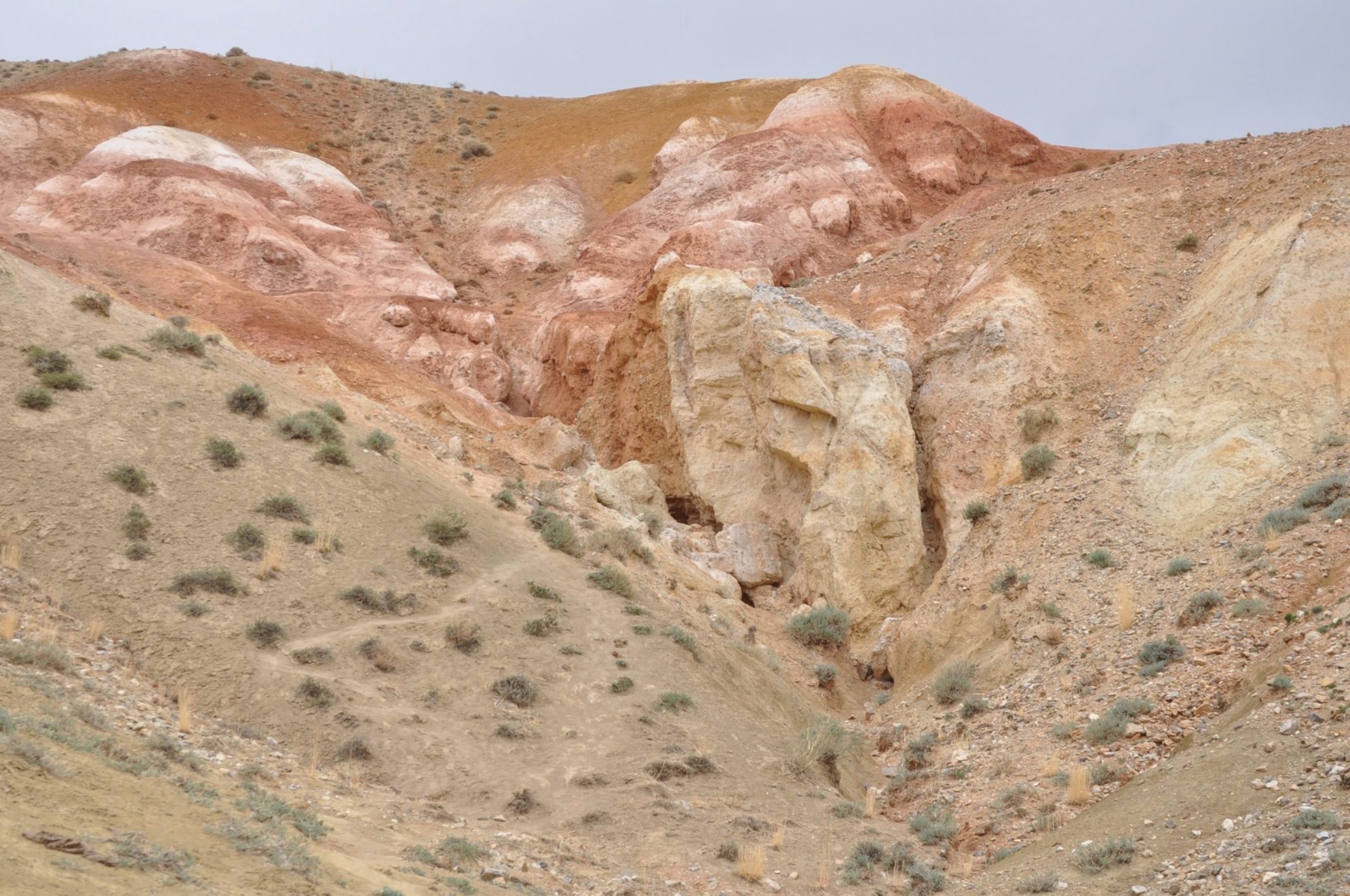 Алтайский марс. Автор фото: Ирина Жарикова