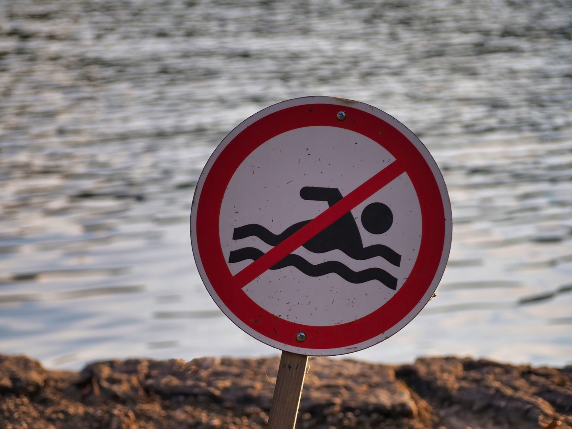 Следите за знаками - купаться запрещено.