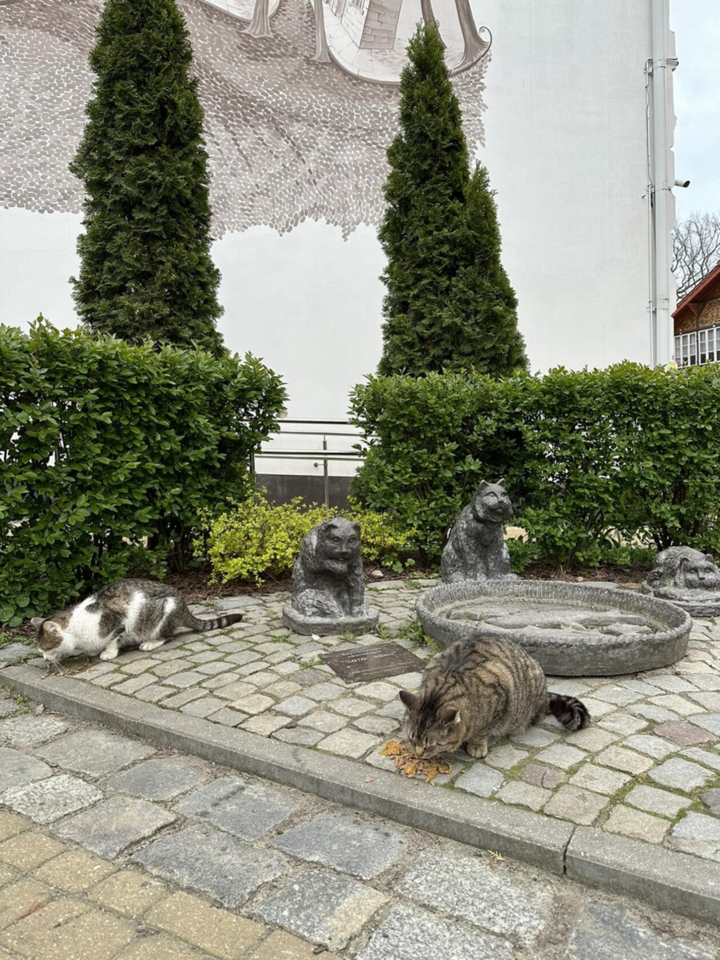 Зеленоградск.Источник фото: личный архив.Автор фото: Тронькова Анастасия