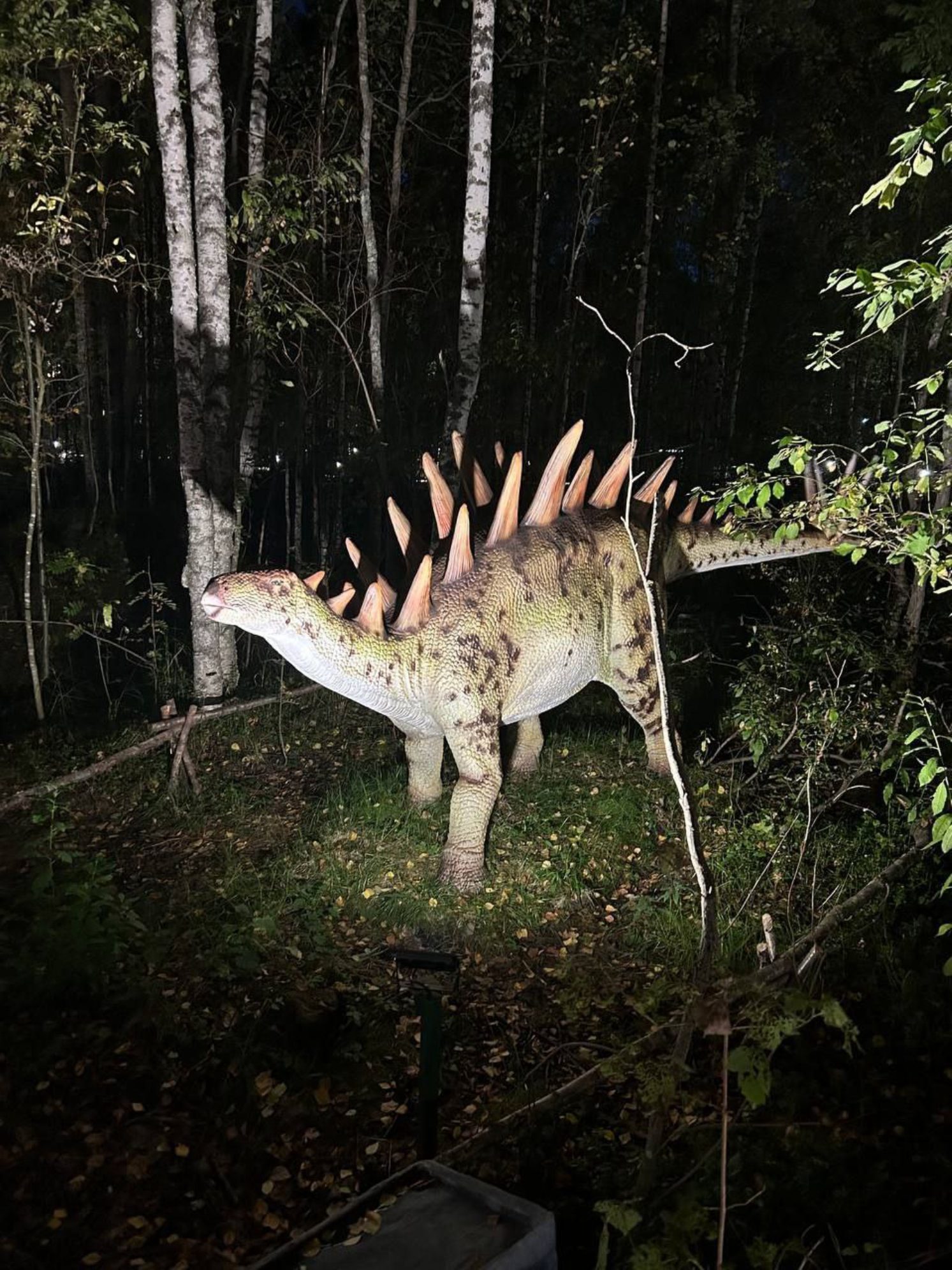 Стегозавр в Динопарке, Петрозаводск.
Автор фото: Анна Ворожун