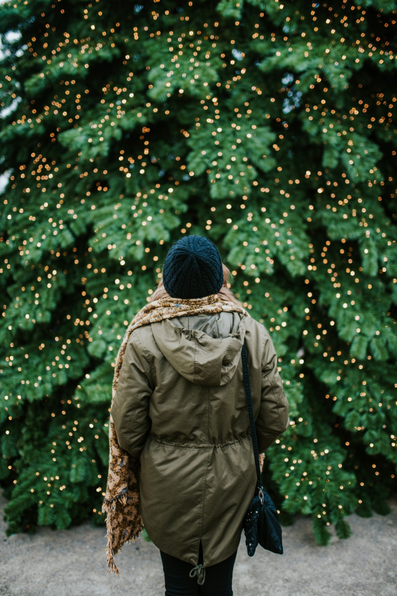 Рождественская елка.