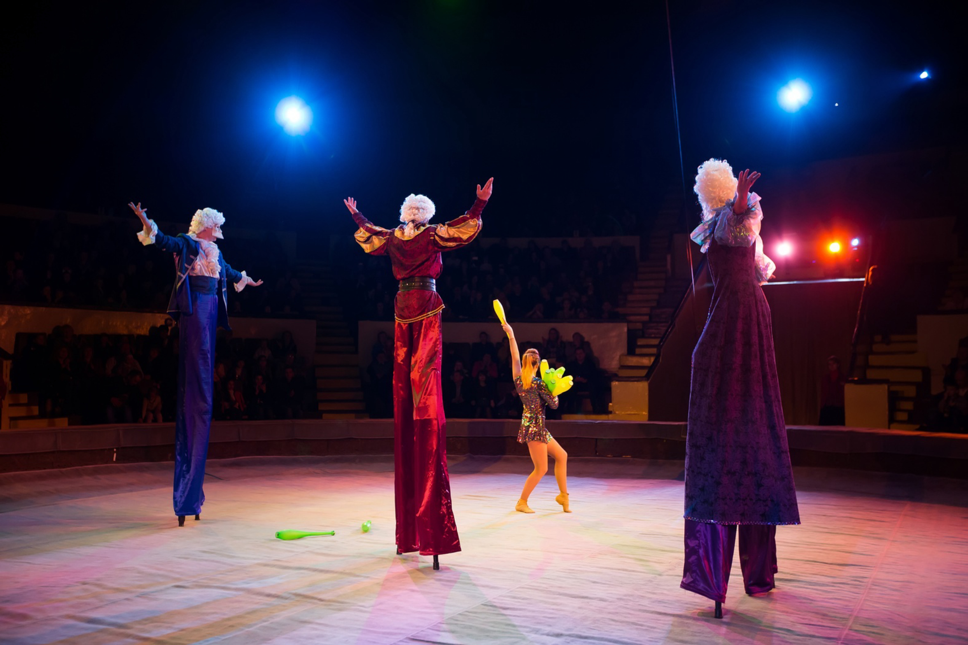 Выступление в цирке.