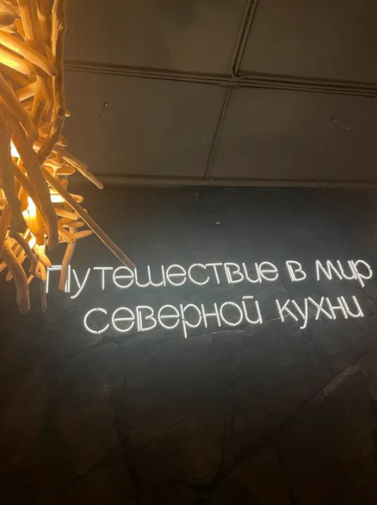 Путешествие в мир северной кухни.Автор: Анастасия Рейзес