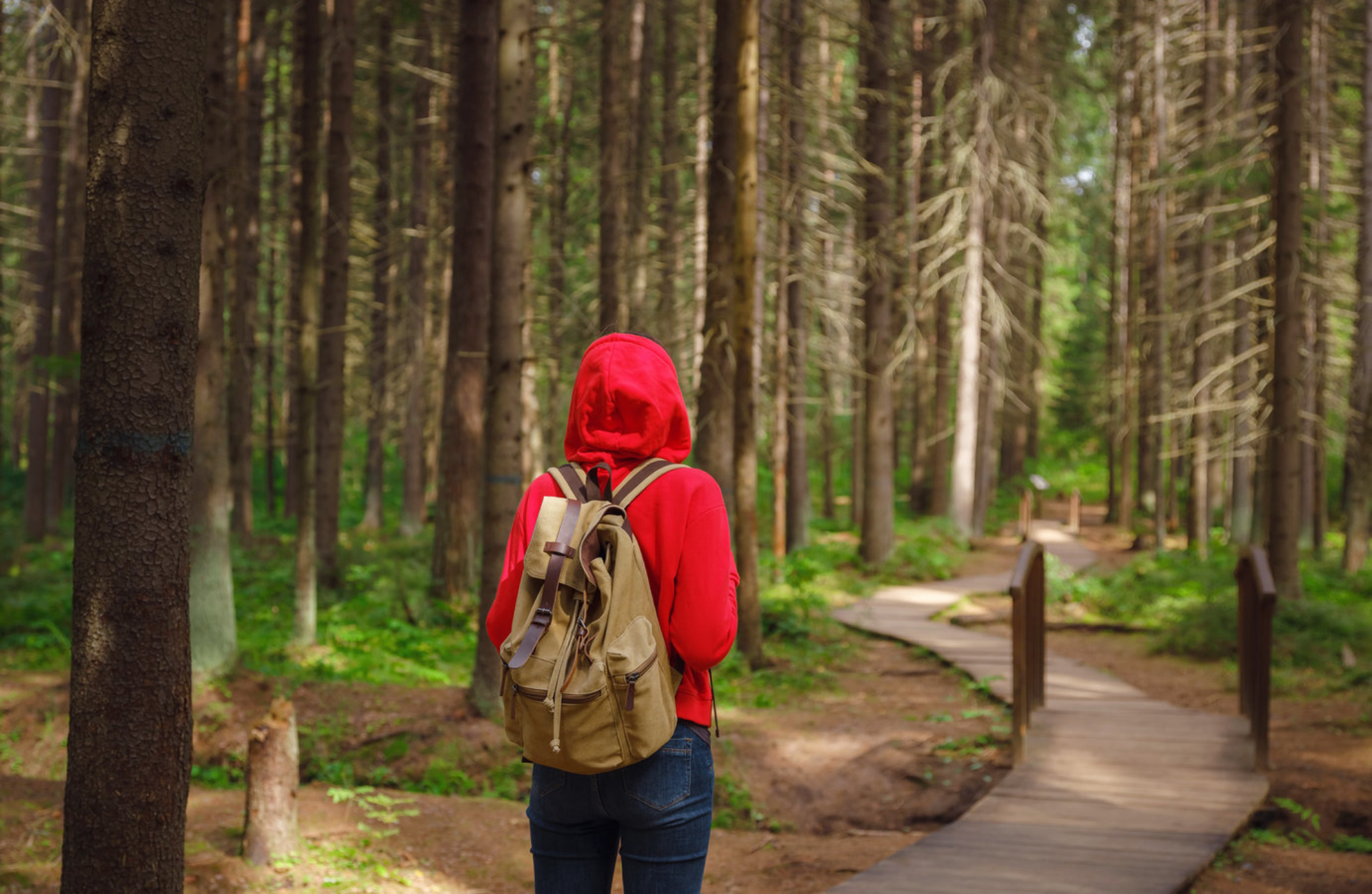 В статье рассказываем про 15 национальных парков России. shutterstock.com