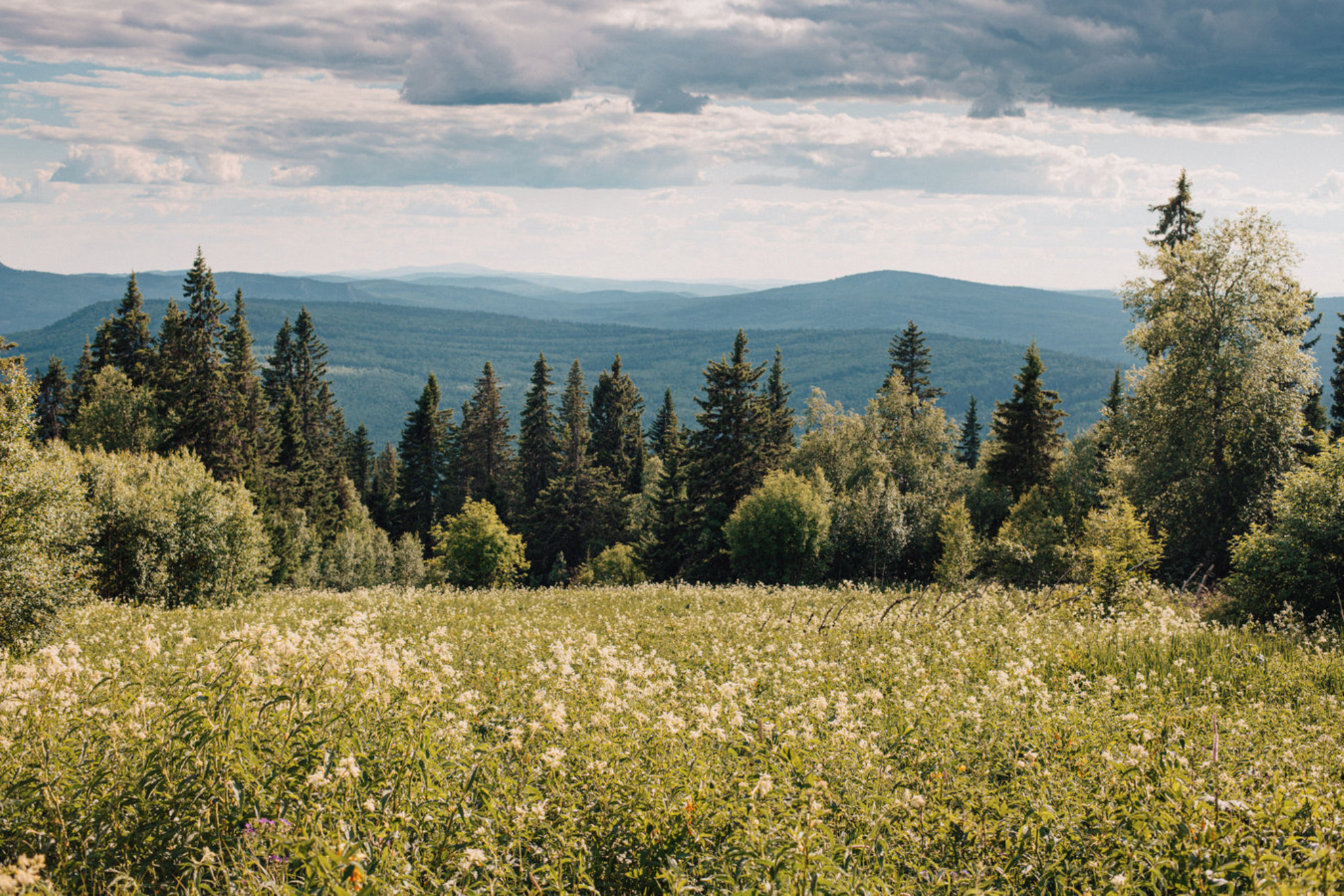 Национальный парк Башкирия. shutterstock.com