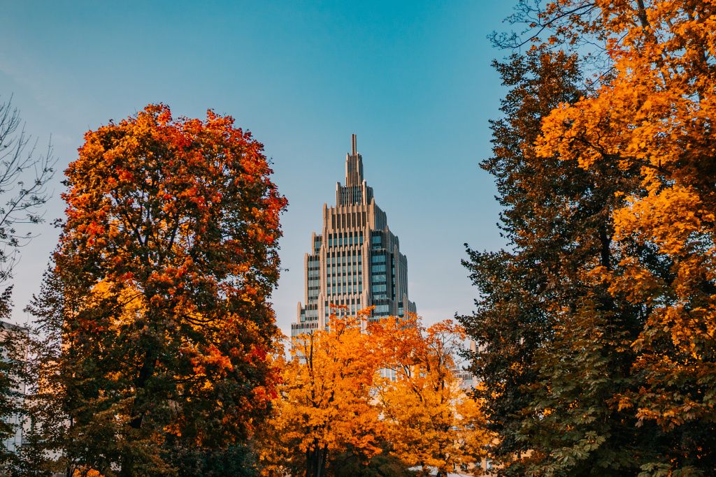 Всё о саде "Эрмитаж" в Москве: прогулки, мероприятия и история