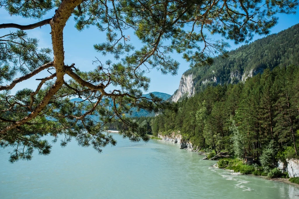 Путешествие на Бирюзовую Катунь в Алтае