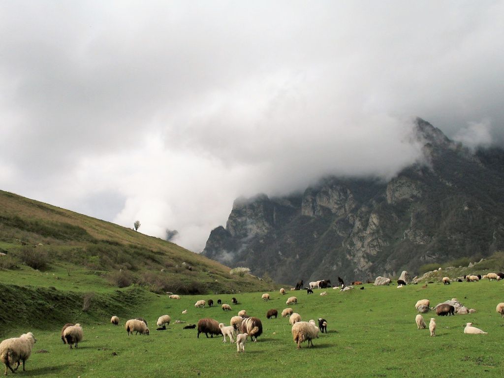 Верхняя Балкария: путешествие по Северному Кавказу