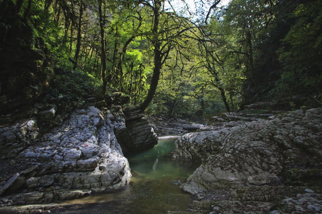 Каньон реки Псахо: Откройте для себя природу Кавказа